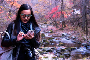 午夜伊人专区界面